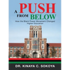 A Push from Below: How the Black Power Movement Changed Higher Education - Paperback