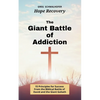 The Giant Battle of Addiction: 15 Principles for Success from the Biblical Battle of David and the Giant Goliath - Paperback