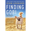 Finding Gobi: A Little Dog with a Very Big Heart - Paperback