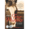Finding True Purpose: Life Beyond The Castle - Paperback