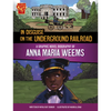 In Disguise on the Underground Railroad: A Graphic Novel Biography of Anna Maria Weems - Paperback