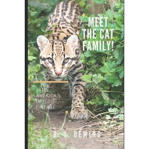 Meet the Cat Family!: Latin America's Ocelot Lineage - Paperback