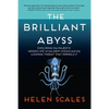 The Brilliant Abyss: Exploring the Majestic Hidden Life of the Deep Ocean, and the Looming Threat That Imperils It - Paperback