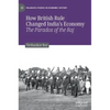 How British Rule Changed India's Economy: The Paradox of the Raj - Hardcover