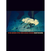 In the Murmurs of the Rotten Carcass Economy - Paperback