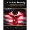 A Hollow Remedy: Federal Habeas Corpus Ineffective to Protect Victims of Systemic Injustice of State and Criminal Justice Systems - Paperback