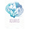 Aquarius: Constellation SchoolTimetable, Aquarius Zodiac sign Design, 6"x9", 120 pages SchoolTimetable - Paperback