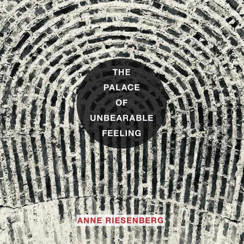 The Palace of Unbearable Feeling - Paperback