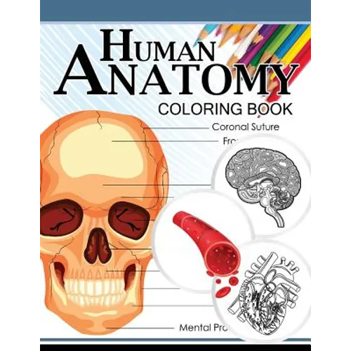 Human Anatomy Coloring Book: Anatomy & Physiology Coloring Book 3rd Edtion - Paperback