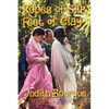 Robes of Silk Feet of Clay: The True Story of a Love Affair with Maharishi Mahesh Yogi the Beatles TM Guru - Paperback