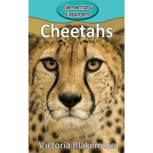 Cheetahs - Hardcover