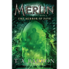 The Mirror of Fate - Paperback