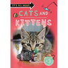 It's All About... Cats and Kittens - Paperback