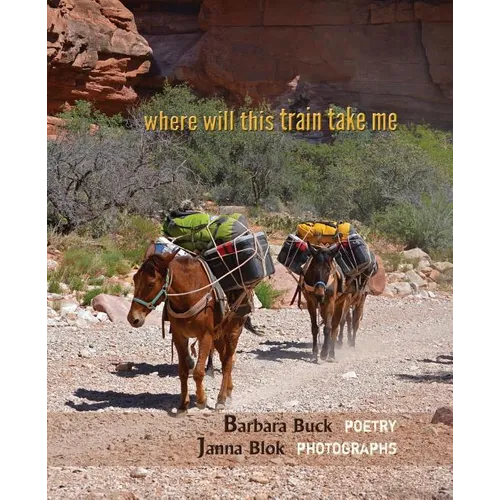 where will this train take me - Paperback