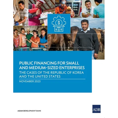 Public Financing for Small and Medium-Sized Enterprises: The Cases of the Republic of Korea and the United States - Paperback