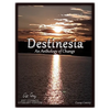 Destinesia: An Anthology of Change - Paperback