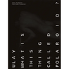 Ulay: What Is This Thing Called Polaroid? - Paperback