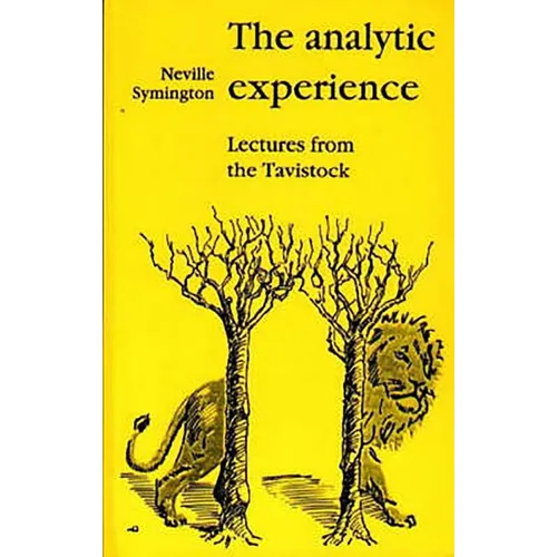 The Analytic Experience: Lectures from the Tavistock - Paperback