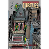Teenage Mutant Ninja Turtles: The Mirage Years (1993-1995) - Hardcover