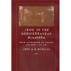 Jews in the Mediterranean Diaspora: From Alexander to Trajan (323 Bce-117 Ce) Volume 33 - Paperback