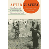 After Slavery: Race, Labor, and Citizenship in the Reconstruction South - Paperback