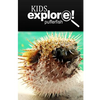 Puffer Fish - Kids Explore: Animal books nonfiction - books ages 5-6 - Paperback