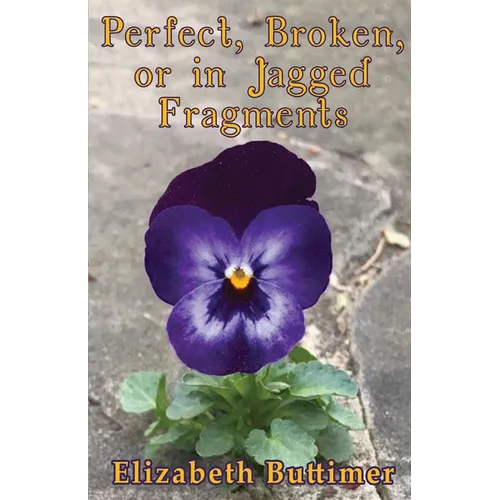 Perfect, Broken or in Jagged Fragments - Paperback