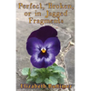 Perfect, Broken or in Jagged Fragments - Paperback