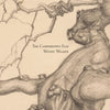 The Camperdown Elm - Paperback