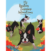 My Boston Terrier Adventures (with Rudy, Riley and more...) - Hardcover