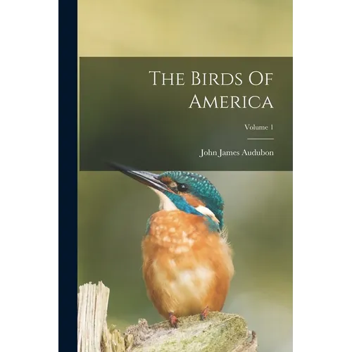 The Birds Of America; Volume 1 - Paperback