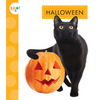 Halloween - Paperback