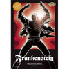 Frankenstein the Graphic Novel: Original Text - Library Binding