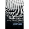 The Essence of Mathematics Through Elementary Problems - Hardcover