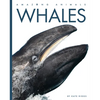 Whales - Paperback
