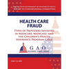 Health Care Fraud: Types of Providers Involved in Medicare, Medicaid, and the Children's Health Insurance Program Cases - Paperback