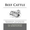 Beef Cattle: Dehorning, Castrating, Branding and Marking - Paperback