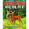 Amazing WildLife Coloring Book: A Relaxing Coloring Book for Adults with Amazing Wild Animals, Forest, Wildlife, Nature and Beautiful Stress Relief De - Paperback