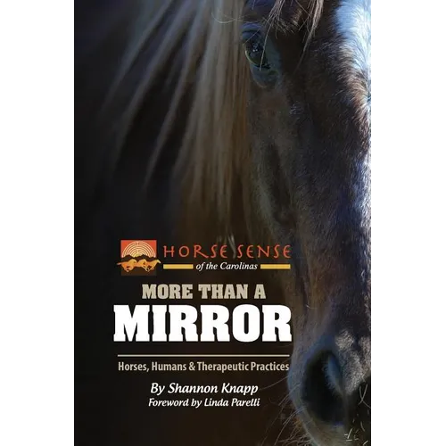 More Than a Mirror: Horses, Humans & Therapeutic Practices - Paperback
