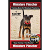 Miniature Pinscher Training Book for Miniature Pinschers By BoneUP DOG Training: Are You Ready to Bone Up? Easy Training * Fast Results Miniature Pins - Paperback
