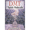 Dmt: The Spirit Molecule: A Doctor's Revolutionary Research Into the Biology of Near-Death and Mystical Experiences - Paperback