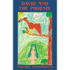 David and the Phoenix (Illustrated) - Hardcover