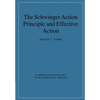 The Schwinger Action Principle and Effective Action - Paperback