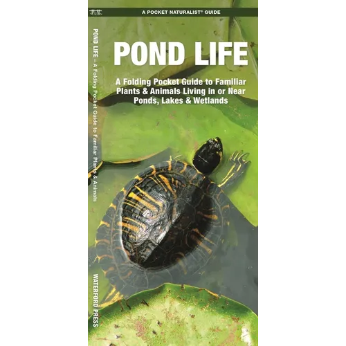 Pond Life: An Introduction to Familiar Plants and Animals Living in or Near Ponds, Lakes and Wetlands - Paperback