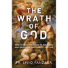 The Wrath of God: How to Read the Signs of the Times and Recognize the Evils of Our Age - Paperback