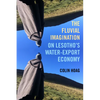The Fluvial Imagination: On Lesotho's Water-Export Economy Volume 12 - Paperback