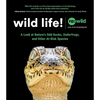 Wild Life!: A Look at Nature's Odd Ducks, Underfrogs, and Other At-Risk Species - Hardcover