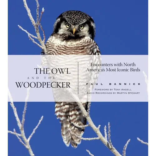 The Owl and the Woodpecker: Encounters with North America's Most Iconic Birds [With CD] - Hardcover