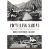 Picturing Sabino: A Photographic History of a Southwestern Canyon - Paperback