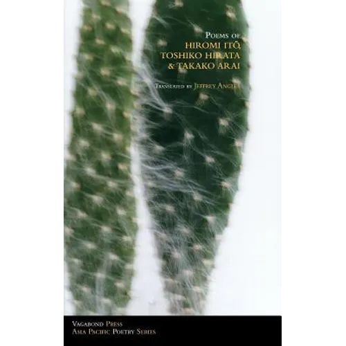 Poems of Hiromi Ito, Toshiko Hirata & Takako Arai - Paperback